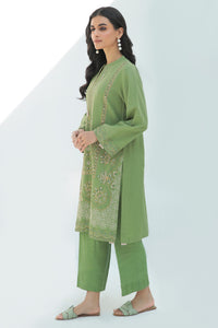 2 Piece  - Dyed Embroidered Slub Khaddar Suit P0244