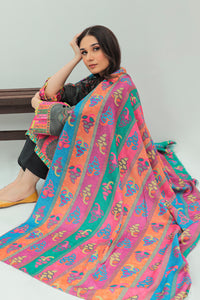 2 Piece - Digital Printed Slub Khaddar Cotton Suit P0258A