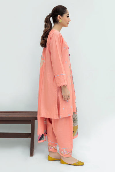3 Piece  - Dyed Embroidered Slub Khaddar Suit P0261