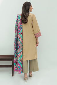 2 Piece - Embroidered Slub Khaddar Suit P0273