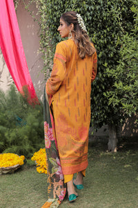 2 Piece - Dyed Jacquard Suit P0498 (SO)