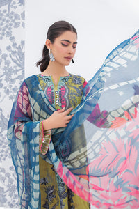 2 Piece - Digital Printed Lawn Suit P0506 (SO)