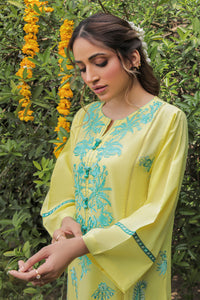 2 Piece - Embroidered Lawn Suit P0515