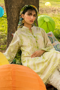 2PC  Solid Jacquard - Rajo Net Dupatta P2087