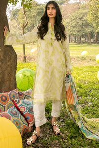2PC  Solid Jacquard - Rajo Net Dupatta P2087