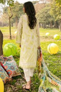 2PC  Solid Jacquard - Rajo Net Dupatta P2087