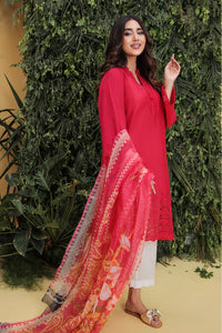2PC Dyed Lawn Chicken Kari With Rajo Net Dupatta- P2097