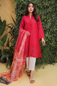 2PC Dyed Lawn Chicken Kari With Rajo Net Dupatta- P2097