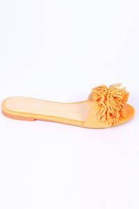 Shoes P2455 - Orange