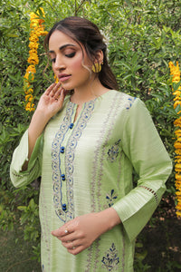 2 Piece - Embroidered Lawn Suit P2569 (SO)
