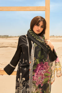 3PC Dyed Lawn Chicken Kari With Rajo Net Dupata P2815 (S0)