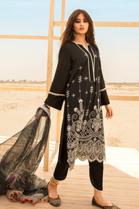 3PC Dyed Lawn Chicken Kari With Rajo Net Dupata P2815 (S0)