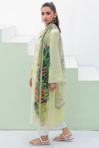 2 Piece - Dyed Schifli Suit P2637