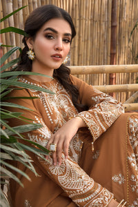 Embroidered Georgette Suit - P2660 (S0)