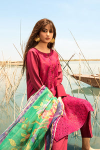 3PC Dyed Lawn Chicken Kari With Rajo Net Dupata P2814 (S0)