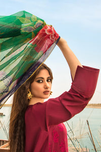 3PC Dyed Lawn Chicken Kari With Rajo Net Dupata P2814 (S0)