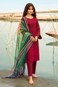 3PC Dyed Lawn Chicken Kari With Rajo Net Dupata P2814 (S0)