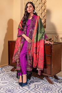 2 Piece - Embroidered Printed Khaddar Suit U0067