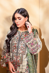 2 Piece - Embroidered Printed Khaddar Suit U0070